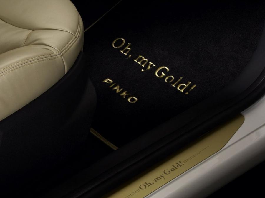  Citroen C3 Gold by Pinko 2008 года  (фото 2 из 7)